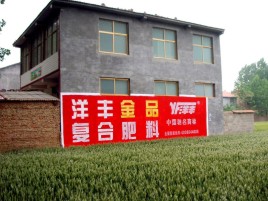 桐梓如何让墙体广告展现最大化效果