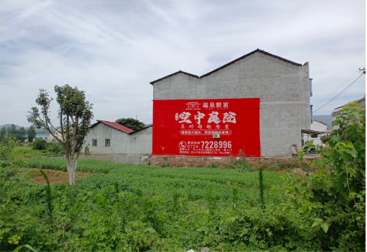 桐梓做墙体广告的意义
