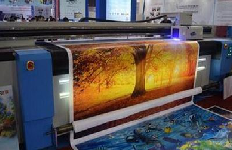 桐梓写真有哪些介质？