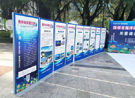 桐梓KT板的种类和知识。